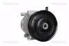 Kompressor, Klimaanlage TRISCAN 9020 43050 Bild Kompressor, Klimaanlage TRISCAN 9020 43050