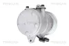 Kompressor, Klimaanlage TRISCAN 9020 43052 Bild Kompressor, Klimaanlage TRISCAN 9020 43052