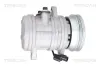 Kompressor, Klimaanlage TRISCAN 9020 43052 Bild Kompressor, Klimaanlage TRISCAN 9020 43052