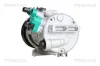 Kompressor, Klimaanlage TRISCAN 9020 43060 Bild Kompressor, Klimaanlage TRISCAN 9020 43060