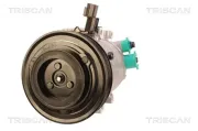 Kompressor, Klimaanlage TRISCAN 9020 43061
