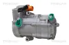 Kompressor, Klimaanlage TRISCAN 9020 43065 Bild Kompressor, Klimaanlage TRISCAN 9020 43065