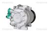 Kompressor, Klimaanlage TRISCAN 9020 43066 Bild Kompressor, Klimaanlage TRISCAN 9020 43066