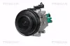 Kompressor, Klimaanlage TRISCAN 9020 43071