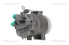 Kompressor, Klimaanlage TRISCAN 9020 43072 Bild Kompressor, Klimaanlage TRISCAN 9020 43072