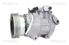 Kompressor, Klimaanlage TRISCAN 9020 43081 Bild Kompressor, Klimaanlage TRISCAN 9020 43081