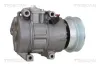 Kompressor, Klimaanlage TRISCAN 9020 43083 Bild Kompressor, Klimaanlage TRISCAN 9020 43083