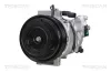 Kompressor, Klimaanlage TRISCAN 9020 43090 Bild Kompressor, Klimaanlage TRISCAN 9020 43090