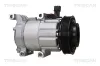 Kompressor, Klimaanlage TRISCAN 9020 43091 Bild Kompressor, Klimaanlage TRISCAN 9020 43091
