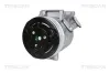 Kompressor, Klimaanlage TRISCAN 9020 50003