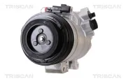 Kompressor, Klimaanlage TRISCAN 9020 50008