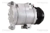 Kompressor, Klimaanlage TRISCAN 9020 50008 Bild Kompressor, Klimaanlage TRISCAN 9020 50008