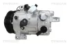 Kompressor, Klimaanlage TRISCAN 9020 50010 Bild Kompressor, Klimaanlage TRISCAN 9020 50010
