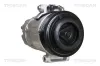 Kompressor, Klimaanlage TRISCAN 9020 50010 Bild Kompressor, Klimaanlage TRISCAN 9020 50010