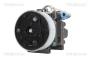 Kompressor, Klimaanlage TRISCAN 9020 50016