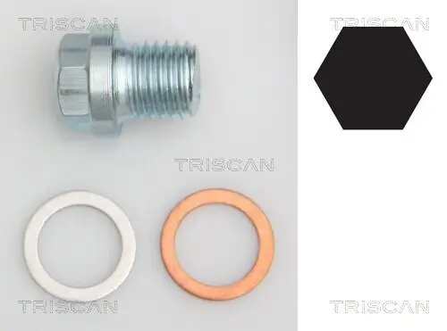 Verschlussschraube, Ölwanne TRISCAN 9500 1011 Bild Verschlussschraube, Ölwanne TRISCAN 9500 1011