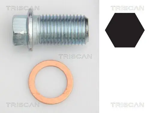 Verschlussschraube, Ölwanne TRISCAN 9500 1012