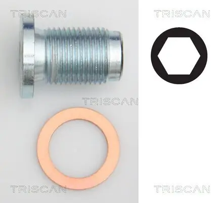 Verschlussschraube, Ölwanne TRISCAN 9500 1014