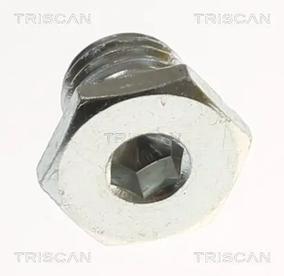 Verschlussschraube, Ölwanne TRISCAN 9500 1105 Bild Verschlussschraube, Ölwanne TRISCAN 9500 1105