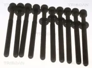 Zylinderkopfschraubensatz TRISCAN 98-1020