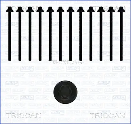 Zylinderkopfschraubensatz TRISCAN 98-5018