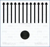 Zylinderkopfschraubensatz TRISCAN 98-5018