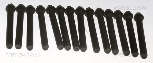 Zylinderkopfschraubensatz TRISCAN 98-8550