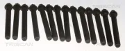 Zylinderkopfschraubensatz TRISCAN 98-8550