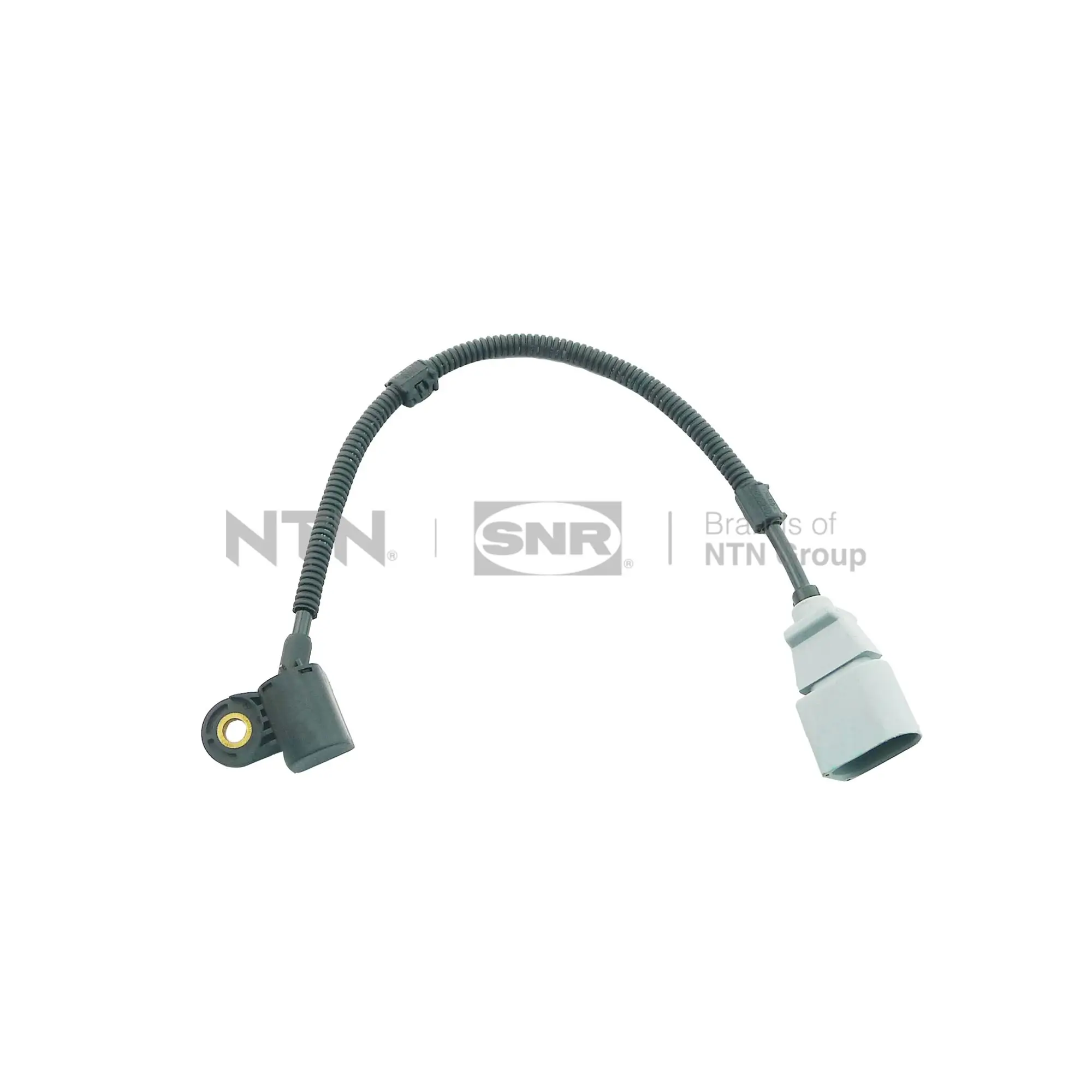 Sensor, Nockenwellenposition SNR CMP154.01