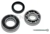 Radlagersatz Hinterachse links rechts SNR R177.10