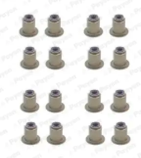 Dichtungssatz, Ventilschaft PAYEN HR5122