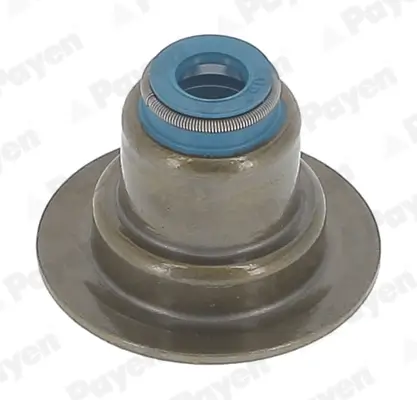 Dichtungssatz, Ventilschaft PAYEN HR5152