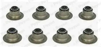 Dichtungssatz, Ventilschaft PAYEN HR656 Bild Dichtungssatz, Ventilschaft PAYEN HR656