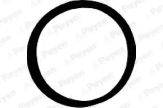 Dichtung, Ansaugkrümmergehäuse PAYEN JD5107 Bild Dichtung, Ansaugkrümmergehäuse PAYEN JD5107