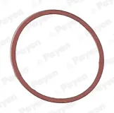 Dichtung, Ansaugkrümmergehäuse PAYEN JD5107