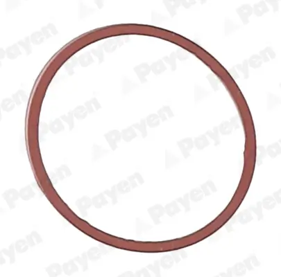 Dichtung, Ansaugkrümmergehäuse PAYEN JD5107 Bild Dichtung, Ansaugkrümmergehäuse PAYEN JD5107