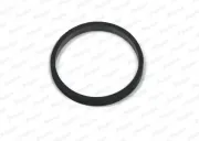 Dichtung, Ansaugkrümmer PAYEN JD5811