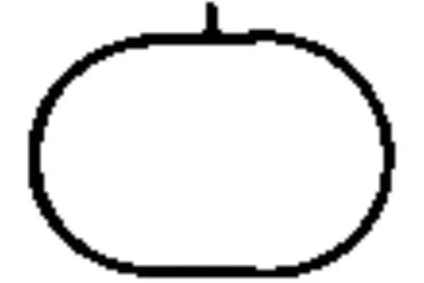 Dichtung, Ansaugkrümmer PAYEN JD5835