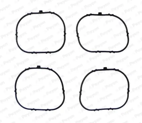 Dichtung, Ansaugkrümmergehäuse PAYEN JD6091