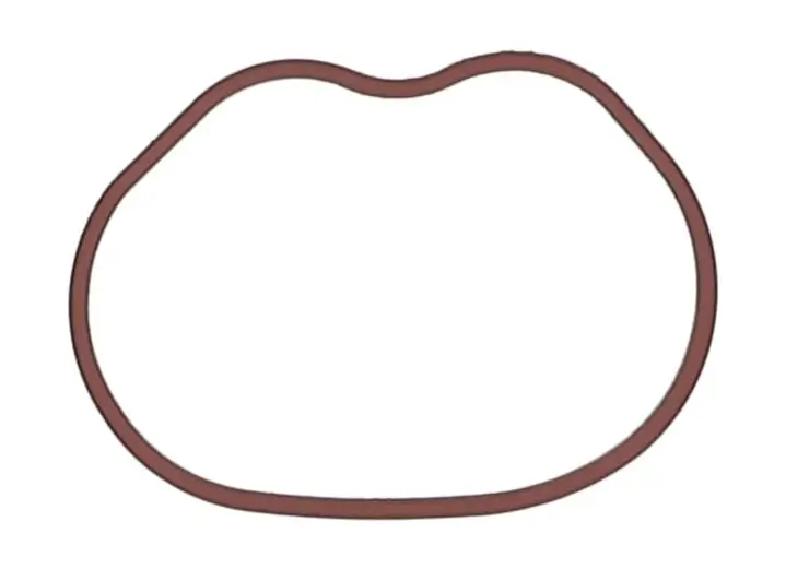 Dichtung, Ansaugkrümmer PAYEN JD6166