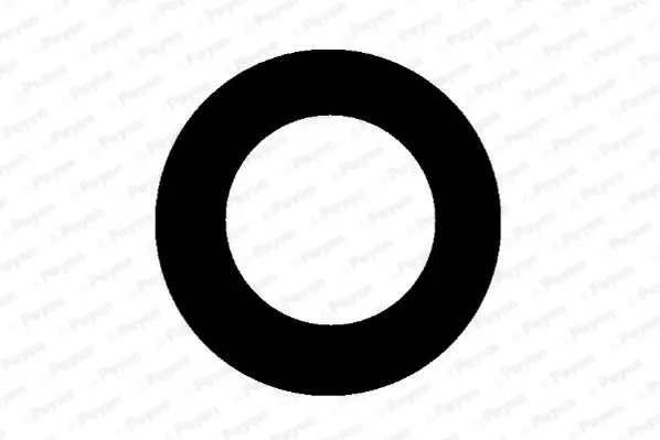 Dichtung, Kerzenschaft PAYEN JM5111