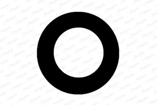 Dichtung, Kerzenschaft PAYEN JM5111 Bild Dichtung, Kerzenschaft PAYEN JM5111