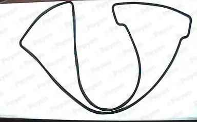 Dichtung, Zylinderkopfhaube PAYEN JN539