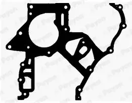 Dichtung, Steuergehäuse PAYEN JR5029