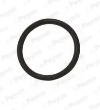 Dichtring, Ölablassschraube PAYEN LA5120 Bild Dichtring, Ölablassschraube PAYEN LA5120