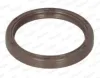 Wellendichtring, Nockenwelle PAYEN NA5310