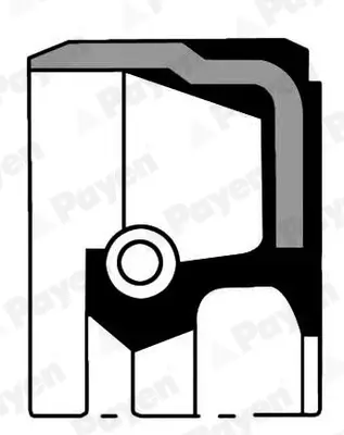 Wellendichtring, Differential Ausgang Vorderachse links PAYEN NA5476