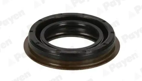 Wellendichtring, Differential PAYEN NA5508