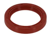 Wellendichtring, Kurbelwelle PAYEN NA581