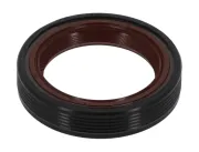 Wellendichtring, Kurbelwelle PAYEN NB716